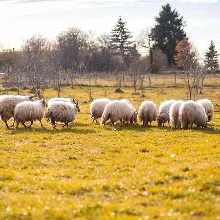 Pogacsas Porta Kiskorpad